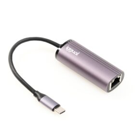 iggual Adaptador tipo C a RJ45 Gigabit SILVER