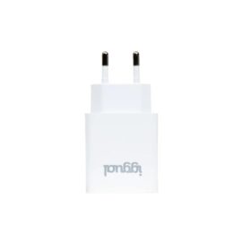 iggual Cargador rápido de pared USB PD tipo C 30W