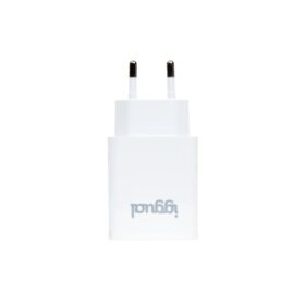 iggual Cargador de pared 1xUSB 5V/2.4A (12W)