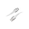 Intenso | Cable USB-A > C|1