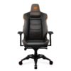 Cougar Silla Armor Evo