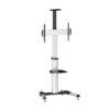 Tooq FS1870M-B Soporte TV  Suelo Ruedas 37"-70" Ne