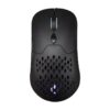 Hiditec Raton Gaming GX30 PRO Wireless ARGB